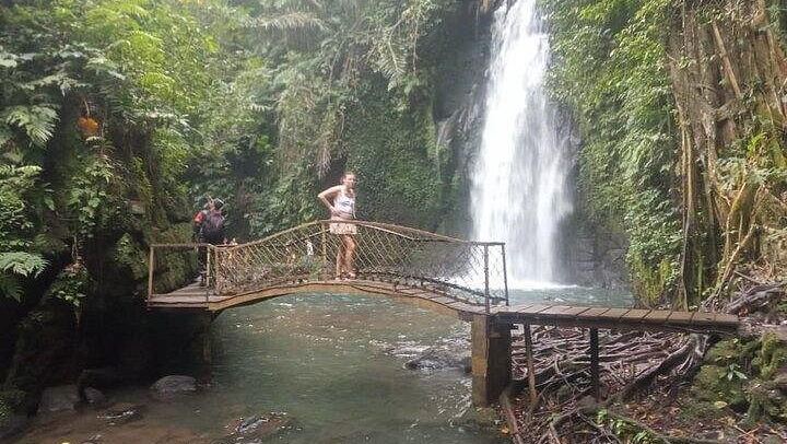 Private Ubud Tour: Ulu Petanu Waterfall, Tirta Empul, Monkey Forest and Swing (1/12)