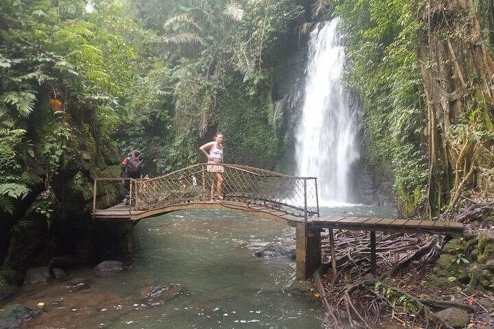 Private Ubud Tour: Ulu Petanu Waterfall, Tirta Empul, Monkey Forest and Swing (1/12)