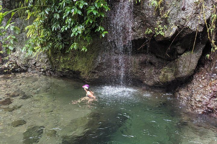Seven-Hour Foraging Hike in Dominica: Middleham Falls, Ti Tou Gorge, Hot Springs (5/12)