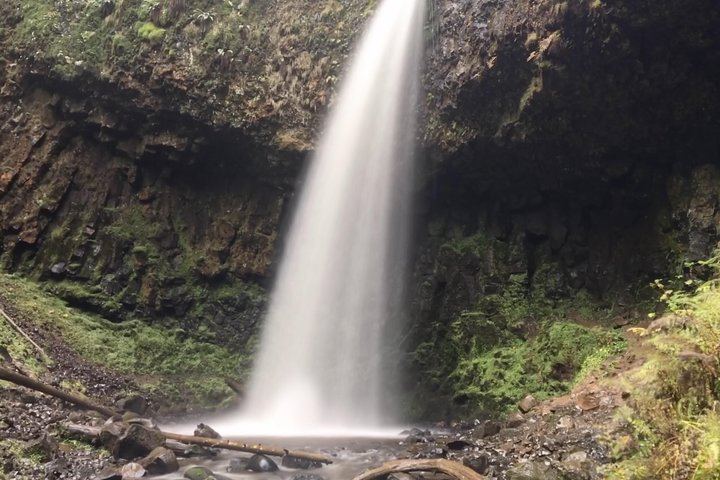 Half-Day Columbia Gorge Waterfall Hikes with Local Legends, Portland Pickup (7/7)
