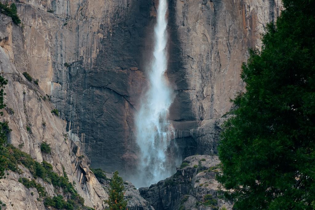 A thin waterfall dropping down a tall granite wall in Yosemite National Park with pines in front