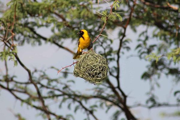 Victoria Falls 3-Day Shared Tour With Sunset Cruise and Helicopter Flight