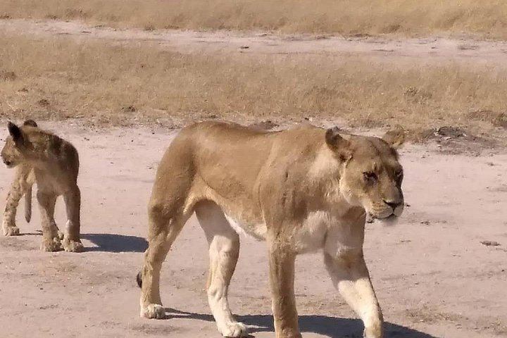 Victoria Falls and Chobe 4-Day Stay With Zambezi Cruise and Chobe Day Trip (7/12)