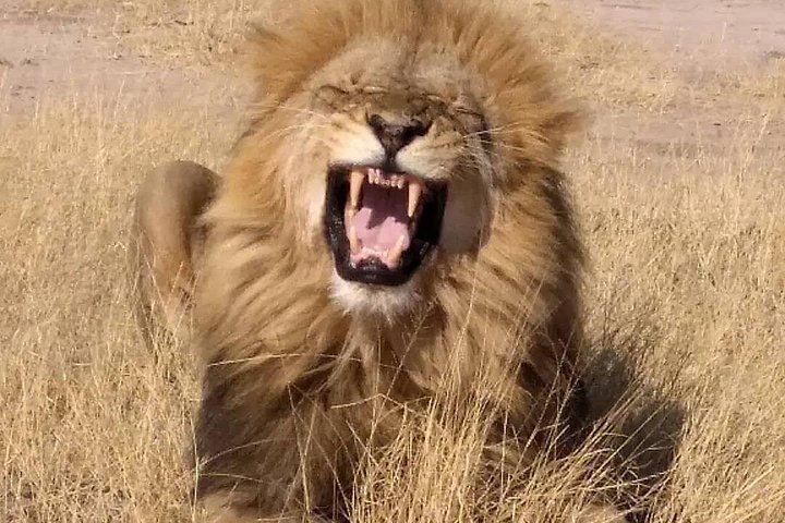 Victoria Falls and Chobe 4-Day Stay With Zambezi Cruise and Chobe Day Trip (8/12)