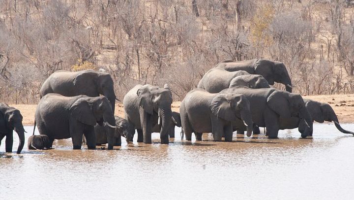 Victoria Falls and Chobe Combo With Crocodile Ranch and Monde Village Visit (3/6)