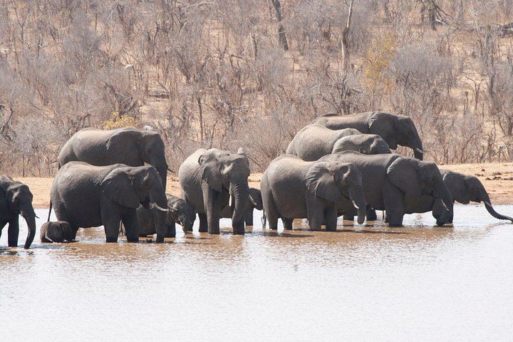 Victoria Falls and Chobe Combo With Crocodile Ranch and Monde Village Visit (3/6)