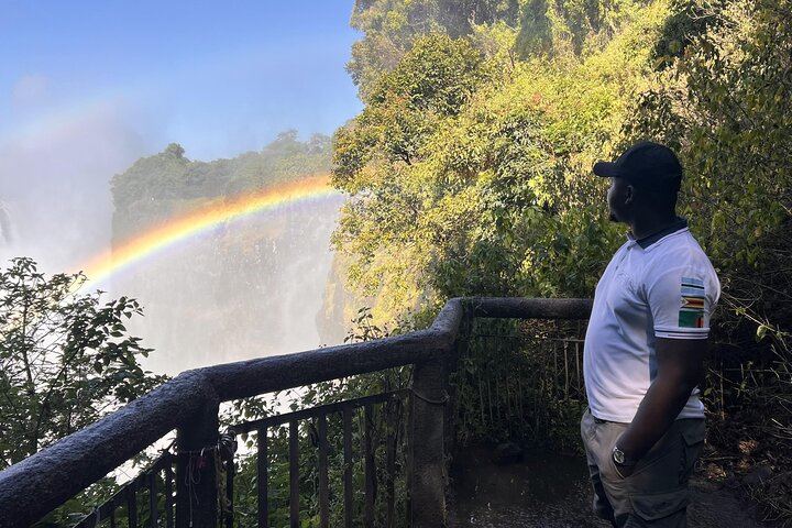 Victoria Falls Day Trip from Kasane, Zambian Side then Zimbabwe, Border Help (1/12)