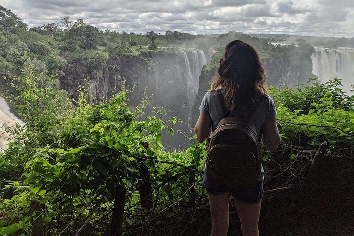 Victoria Falls Day Trip from Kasane, Zambian Side then Zimbabwe, Border Help (4/12)