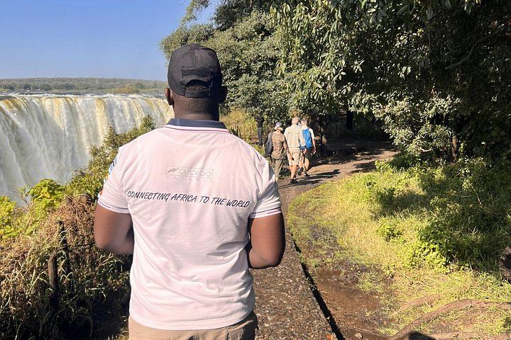 Victoria Falls Day Trip from Kasane, Zambian Side then Zimbabwe, Border Help (8/12)