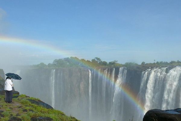 Victoria Falls Guided Tour of Main Falls and Rainforest Trails in English or French