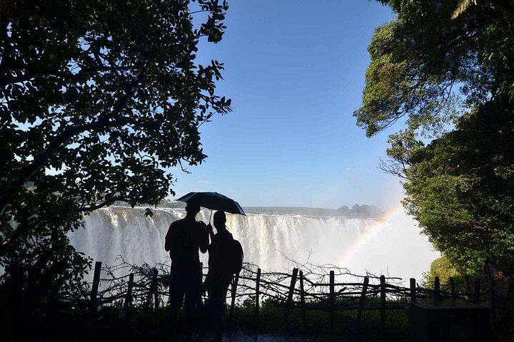 Victoria Falls Guided Tour of Main Falls and Rainforest Trails in English or French (3/7)