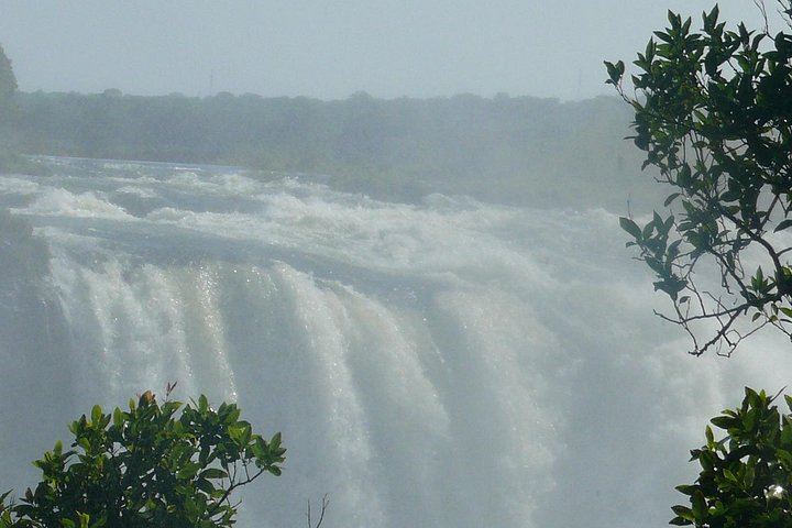 Victoria Falls Guided Tour of Main Falls and Rainforest Trails in English or French (5/7)