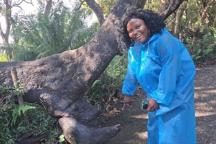 Victoria Falls Two Hour Walking Tour with Local Stories and Big Tree (12/12)