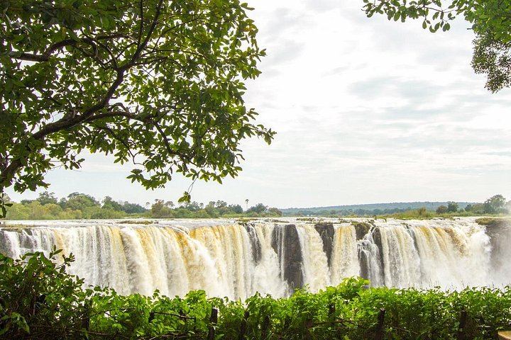 Victoria Falls Guided Walking Tour with Big Tree, Hotel Pickup and Local Expert (10/12)