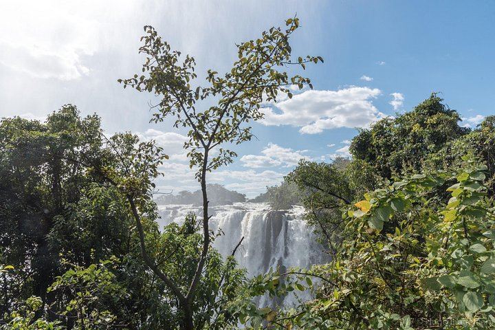 Victoria Falls Walking Tour with Local Guides, Falls Trail and Victoria Falls Bridge (3/12)