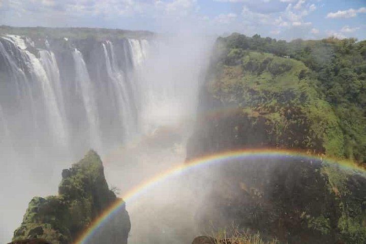 Victoria Falls Two Hour Walking Tour with Local Stories and Big Tree (9/12)