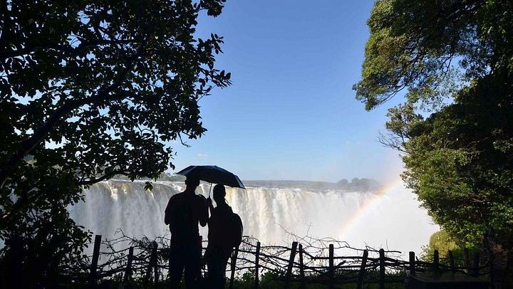 Victoria Falls Guided Tour of Main Falls and Rainforest Trails in English or French (3/7)