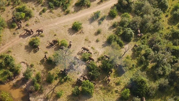 Kazungula Airstrip Helicopter Flight over Victoria Falls, Batoka Gorge and Zambezi Park (1/12)