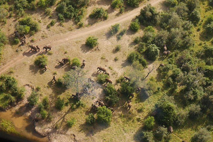 Kazungula Airstrip Helicopter Flight over Victoria Falls, Batoka Gorge and Zambezi Park (1/12)