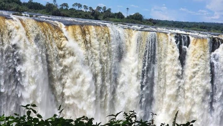 Victoria Falls Private Guided Tour of Both Sides with Big Tree and Livingstone Market (4/12)