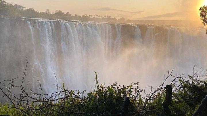 Victoria Falls Private Tour with Big Tree, Falls Viewpoints and Bridge View (1/12)