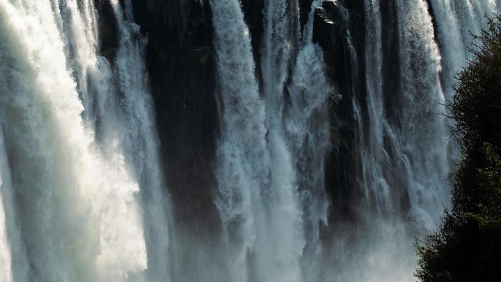 Victoria Falls Private Tour with Big Tree, Falls Viewpoints and Bridge View (4/12)