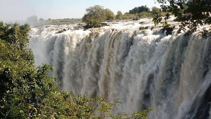 Private Victoria Falls Tour, Zimbabwe Rainforest Paths and Zambia Knife-Edge Bridge (4/12)
