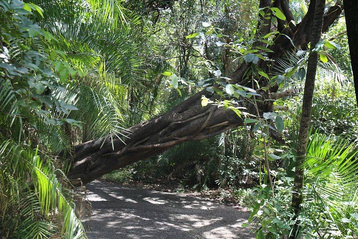 Victoria Falls Private Guided Walking Tour with Hotel Pickup in Town (10/12)