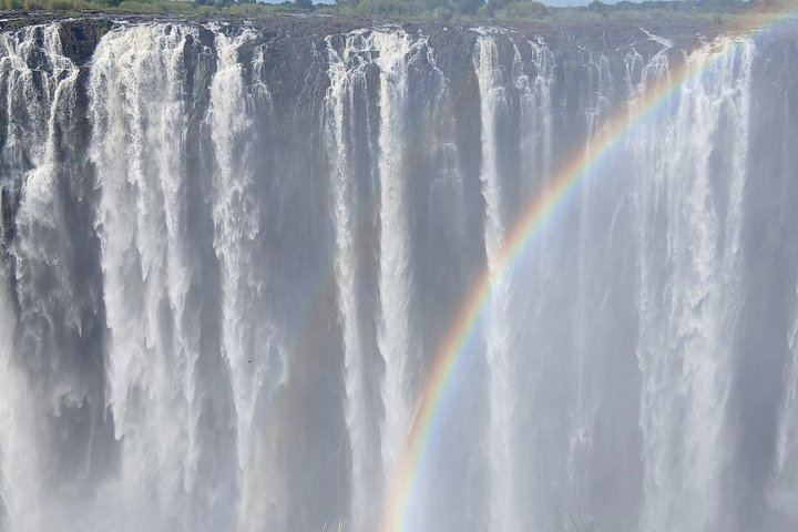 Victoria Falls Private Guided Tour of Both Sides with Big Tree and Livingstone Market (11/12)