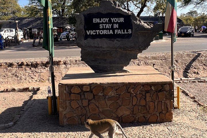 Victoria Falls Private Guided Walking Tour with Hotel Pickup in Town (8/12)