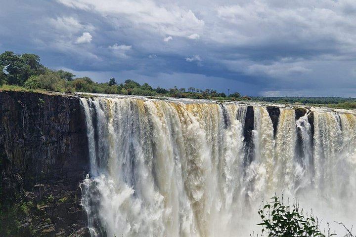Private Victoria Falls Tour, Zimbabwe Rainforest Paths and Zambia Knife-Edge Bridge (11/12)
