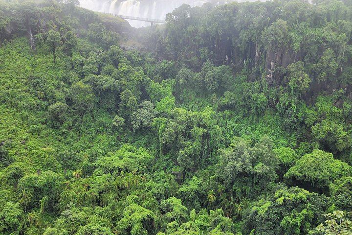 Private Victoria Falls Tour of the Zambia and Zimbabwe Sides with Border Assistance (9/12)