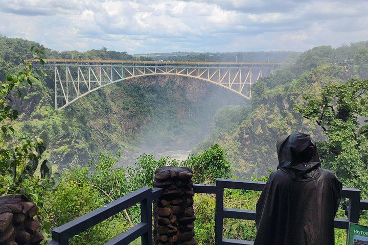 Private Victoria Falls Tour of the Zambia and Zimbabwe Sides with Border Assistance (7/12)