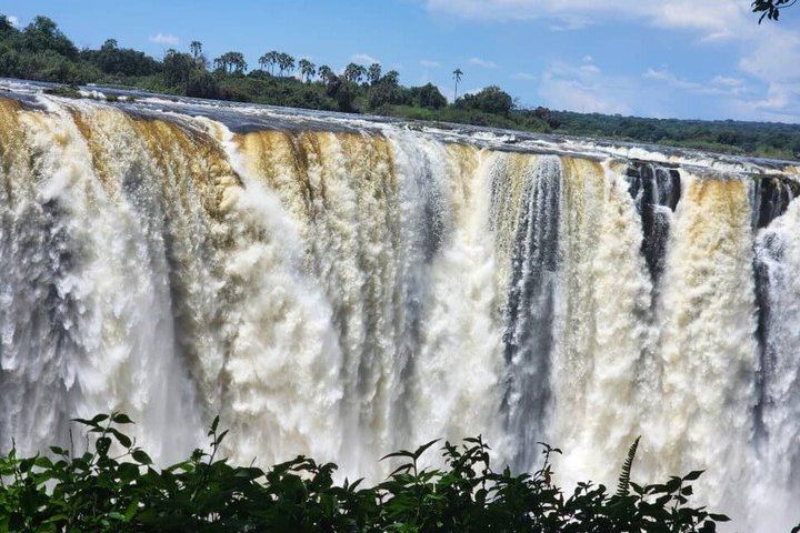 Victoria Falls Private Guided Tour of Both Sides with Big Tree and Livingstone Market (4/12)