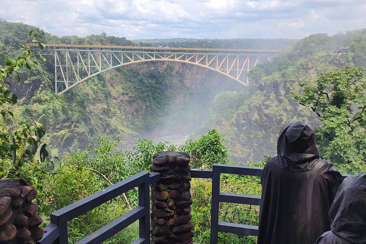 Private Victoria Falls Tour of the Zambia and Zimbabwe Sides with Border Assistance (8/12)