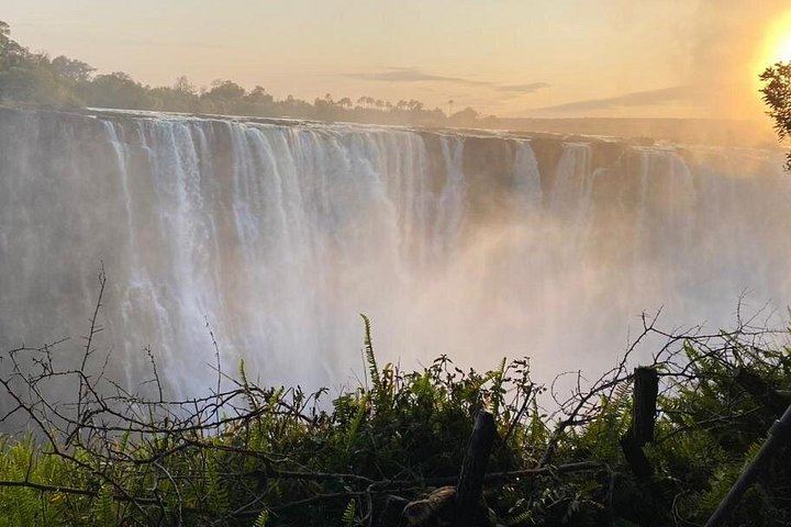 Victoria Falls Private Tour with Big Tree, Falls Viewpoints and Bridge View (1/12)