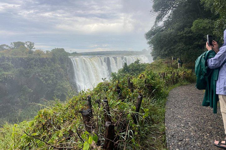 Victoria Falls Private Tour with Big Tree, Falls Viewpoints and Bridge View (8/12)