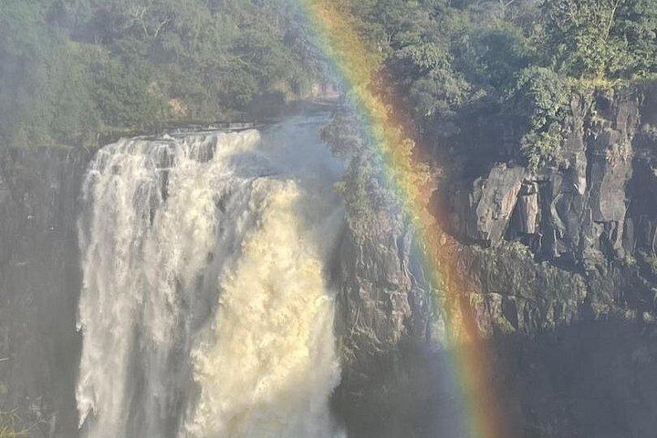 Victoria Falls Private Tour with Big Tree, Falls Viewpoints and Bridge View (12/12)