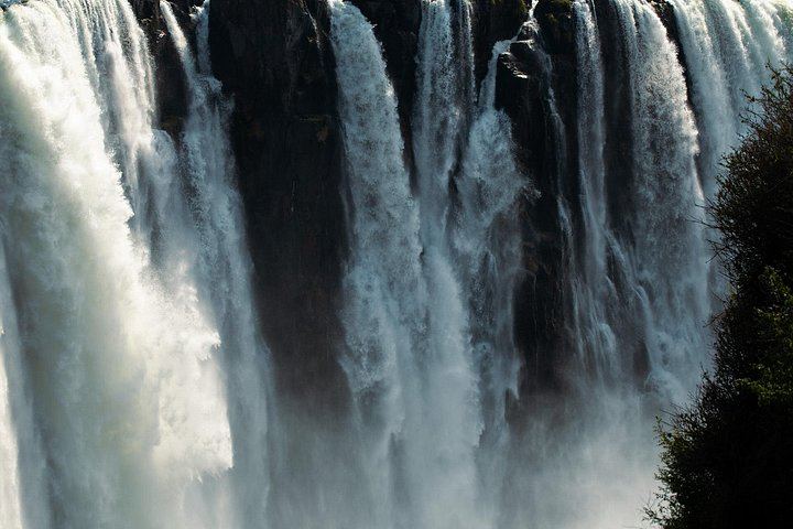 Victoria Falls Private Tour with Big Tree, Falls Viewpoints and Bridge View (4/12)