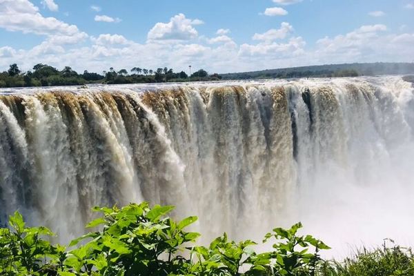 Victoria Falls Private Guided Tour of Both Sides with Big Tree and Livingstone Market