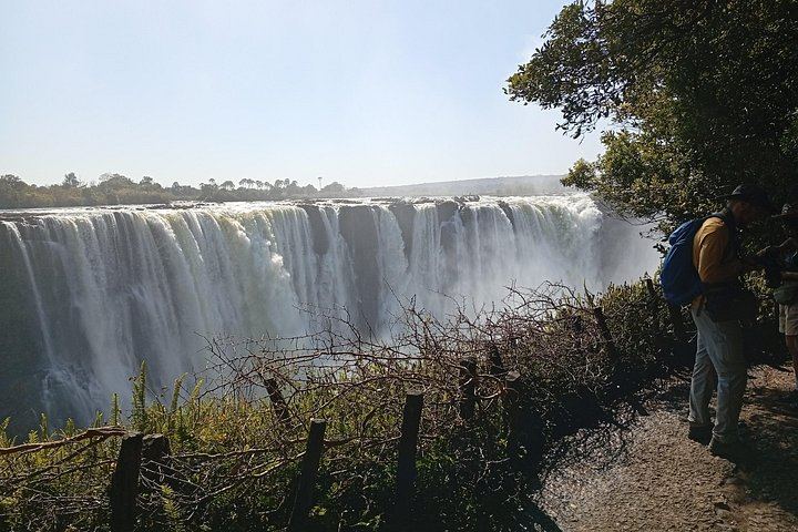 Victoria Falls Small Group Walking Tour with Knife Edge Bridge and Big Tree (7/12)