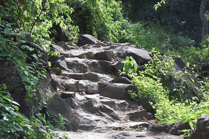 Half-Day Victoria Falls Tour from Livingstone with Hotel Pickup and Choice of Departure (10/12)