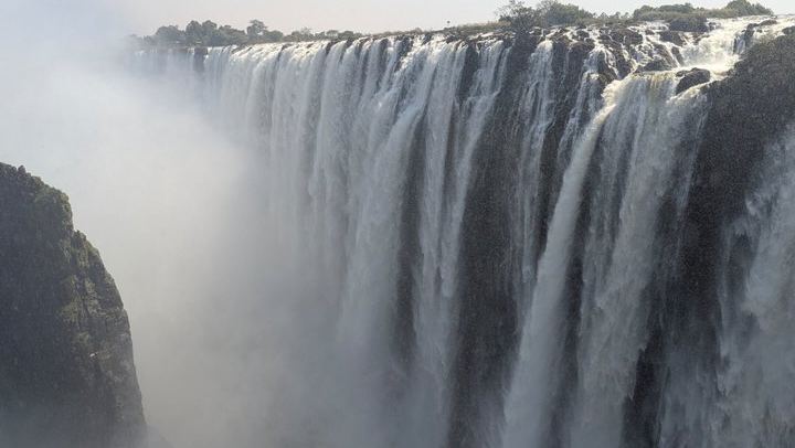 Victoria Falls Expert Guided Walk, Zimbabwe and Zambia Sides, Big Tree Stop (3/12)