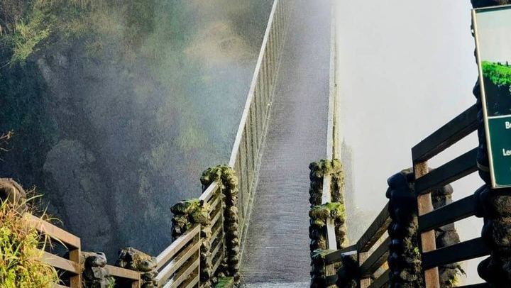 Victoria Falls Expert Guided Walk, Zimbabwe and Zambia Sides, Big Tree Stop (1/12)