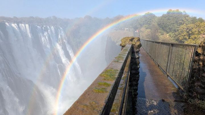 Victoria Falls Expert Guided Walk, Zimbabwe and Zambia Sides, Big Tree Stop (2/12)