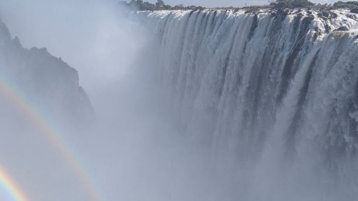 Victoria Falls Expert Guided Walk, Zimbabwe and Zambia Sides, Big Tree Stop (4/12)