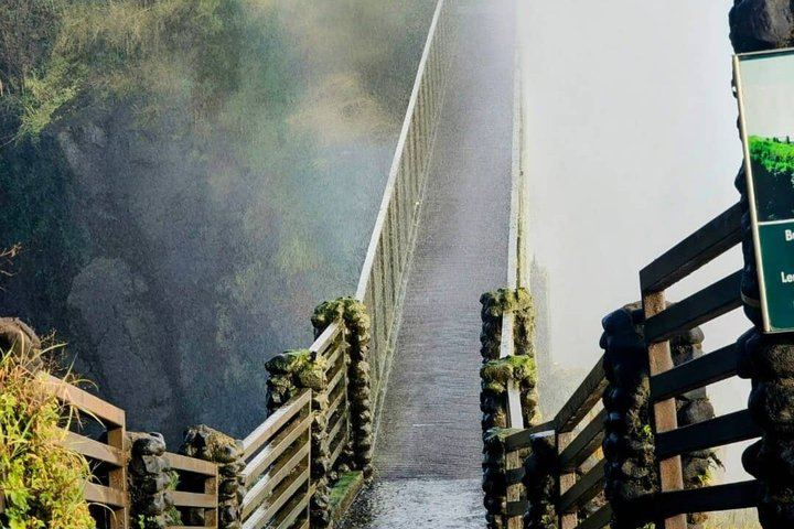 Victoria Falls Expert Guided Walk, Zimbabwe and Zambia Sides, Big Tree Stop (1/12)