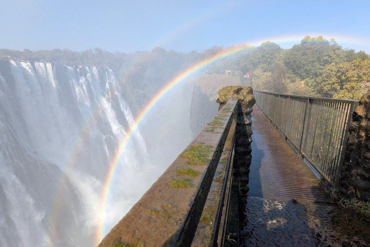 Victoria Falls Expert Guided Walk, Zimbabwe and Zambia Sides, Big Tree Stop (2/12)