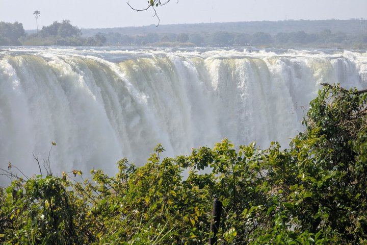 Victoria Falls Expert Guided Walk, Zimbabwe and Zambia Sides, Big Tree Stop (6/12)