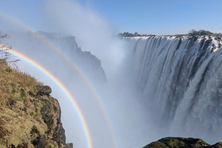 Victoria Falls Expert Guided Walk, Zimbabwe and Zambia Sides, Big Tree Stop (5/12)